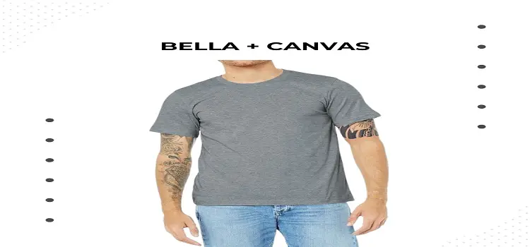 Best Bella+Canvas 3001CVC t shirt for screen printing